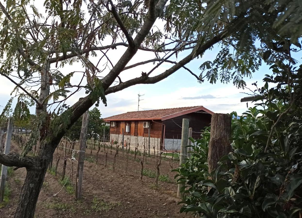 チェッロレ Agriturismo Borgo Baldassarreヴィラ エクステリア 写真